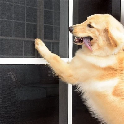 Anti-scratch Pet Screen Anti-scratch Pet Screen
